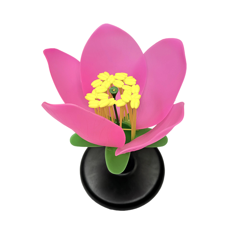 Modello anatomico per l'insegnamento scolastico modello di fiori di pesco
