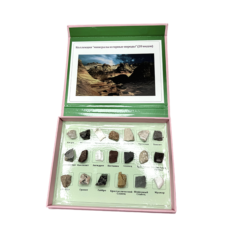 Campione di campioni di minerali e rocce