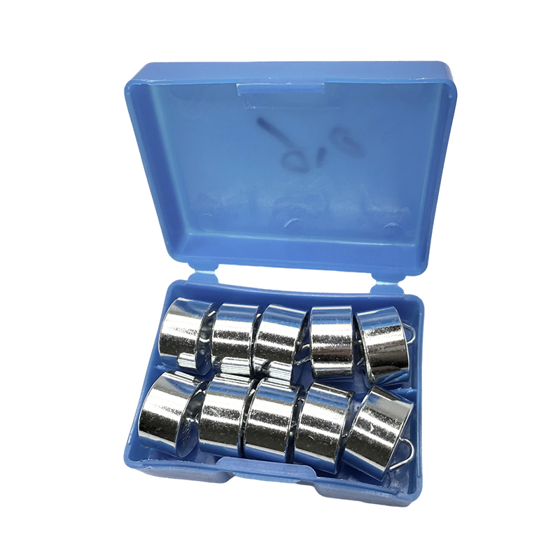 Set di pesi educativi con gancio 50gx10PCS/kit per esperimenti scientifici e didattici per strumenti da laboratorio di fisica scolastica