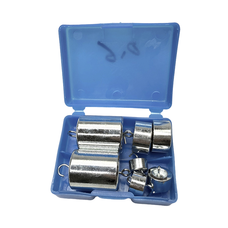 Set di pesi educativi con gancio （200g*2、50g*2、20g*2、10g*1）/strumento per esperimenti scientifici e kit didattico per strumenti da laboratorio di fisica scolastica