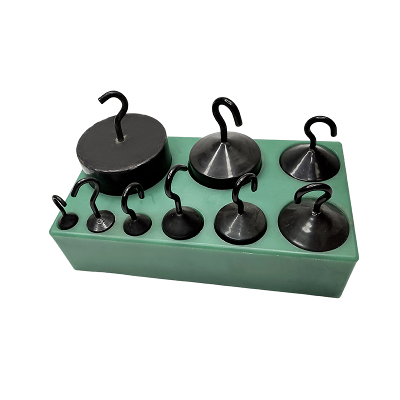 Set di pesi educativi con gancio (2 kg)/kit per esperimenti scientifici e strumenti didattici per strumenti da laboratorio di fisica scolastica