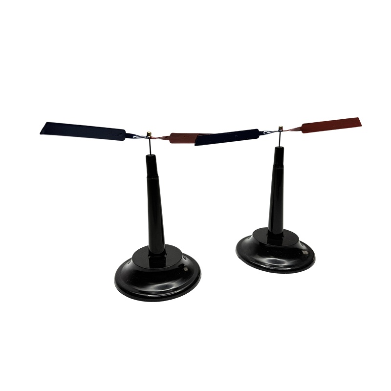 Un paio di aghi magnetici a forma di ala ago magnetico a forma di ala apparecchiature sperimentali di fisica sussidi didattici magnetici