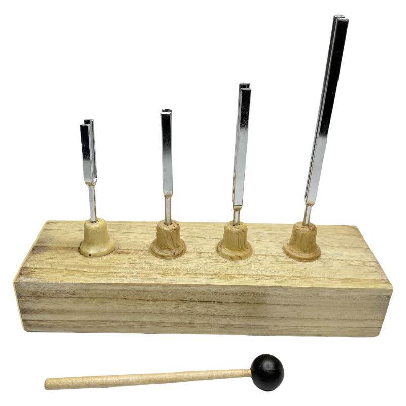 Set diapason / strumenti da laboratorio di fisica
